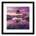 Serene Sunset Reflection – Tree Art Prints & Nature Wall Decor