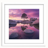 Serene Sunset Reflection – Tree Art Prints & Nature Wall Decor