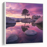 Serene Sunset Reflection – Tree Art Prints & Nature Wall Decor