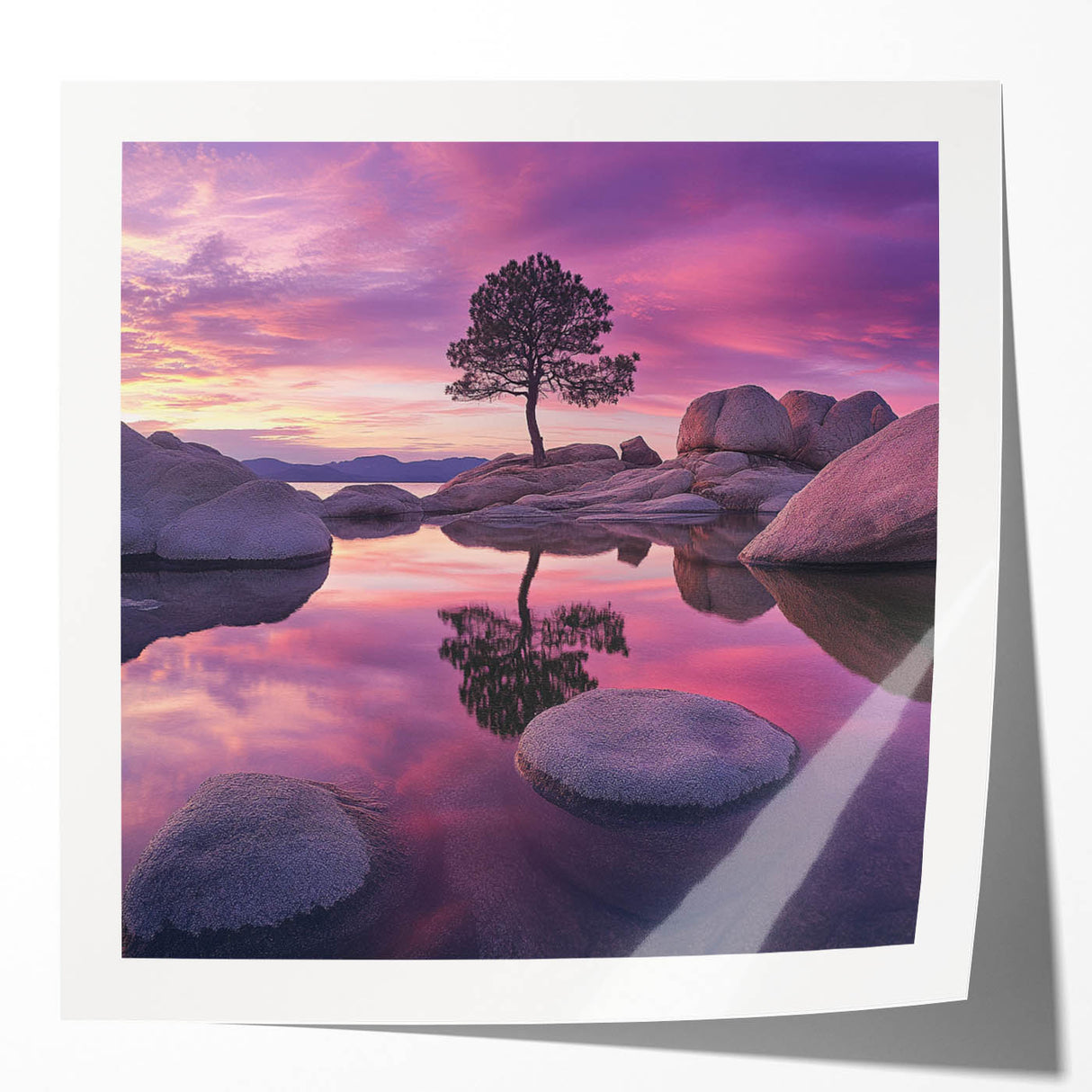 Serene Sunset Reflection – Tree Art Prints & Nature Wall Decor