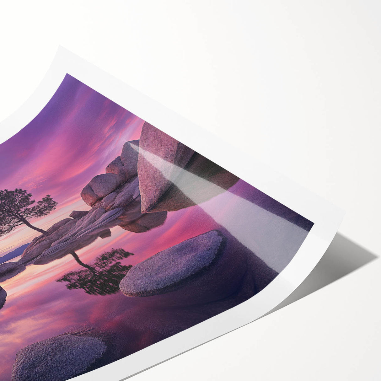 Serene Sunset Reflection – Tree Art Prints & Nature Wall Decor