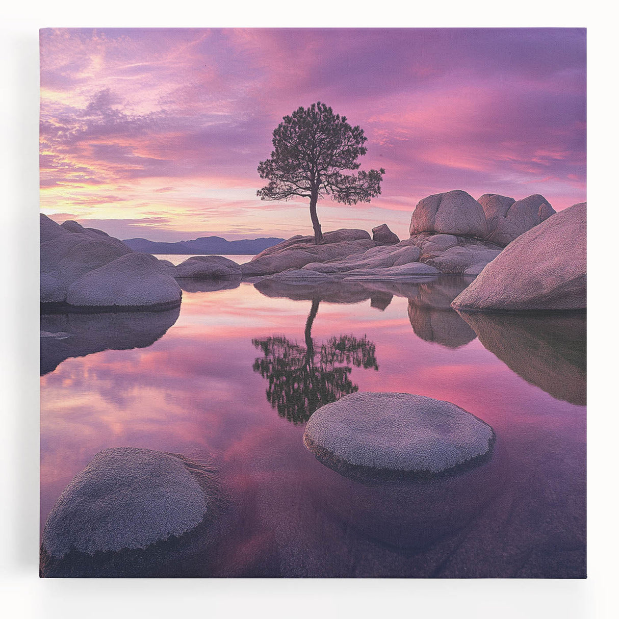 Serene Sunset Reflection – Tree Art Prints & Nature Wall Decor