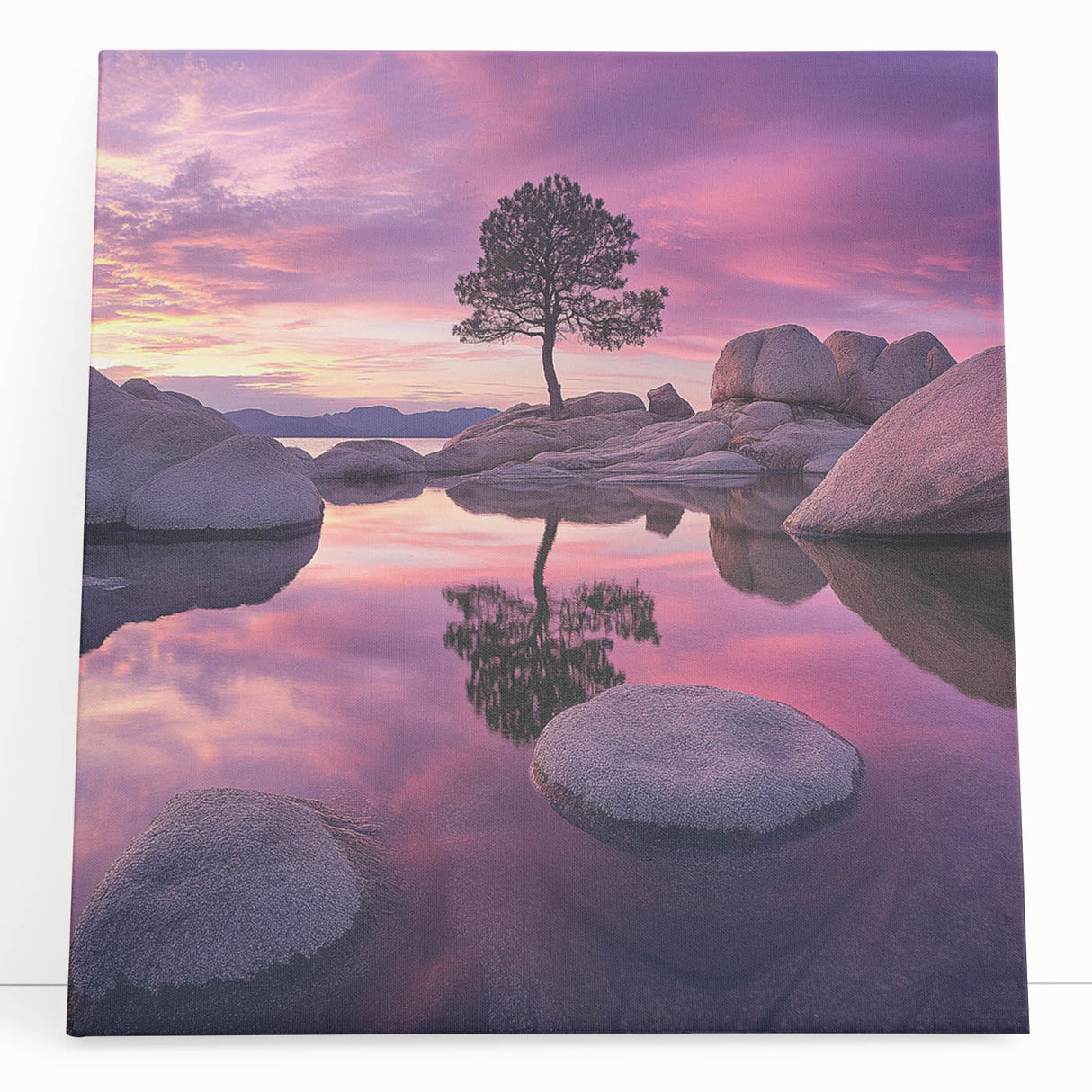 Serene Sunset Reflection – Tree Art Prints & Nature Wall Decor