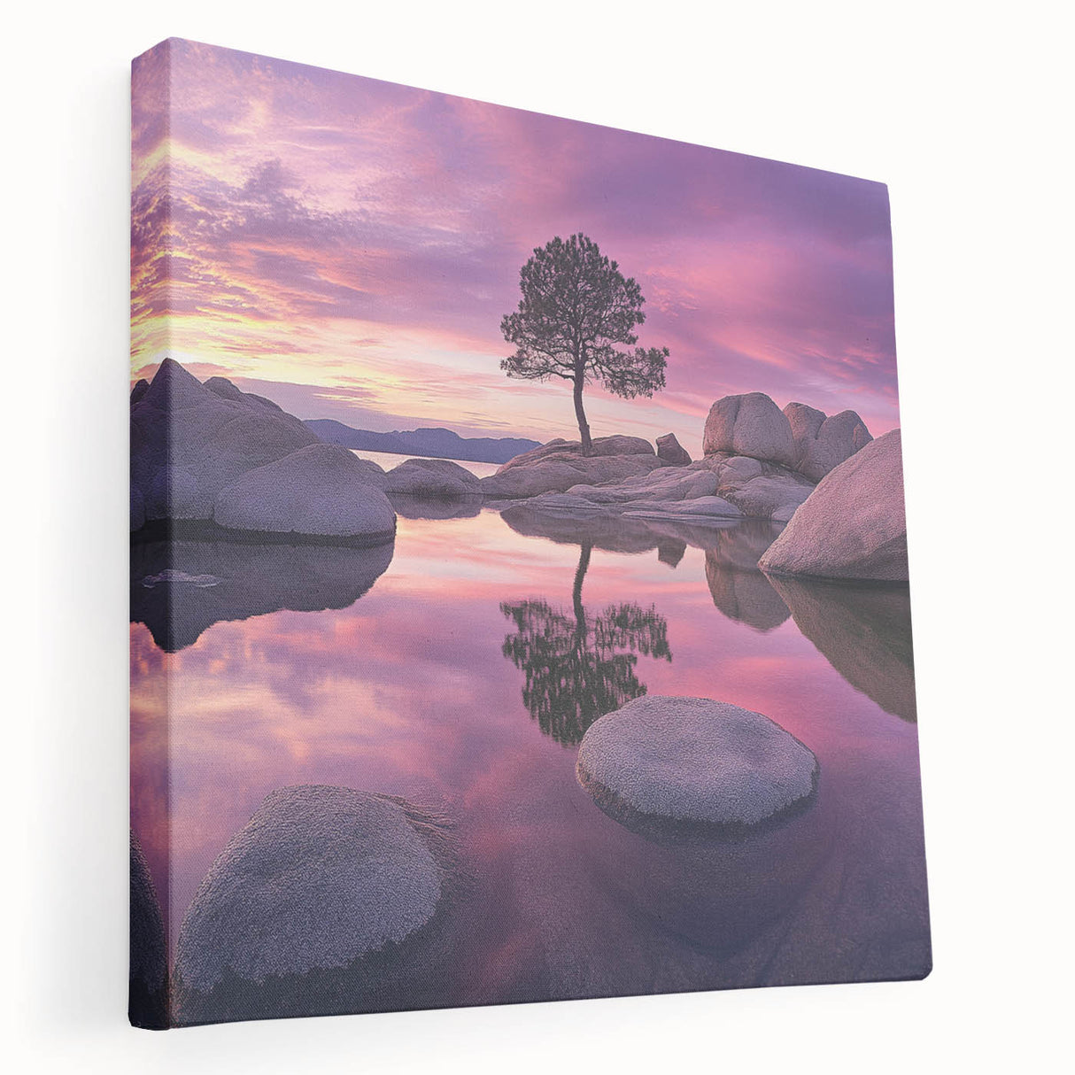 Serene Sunset Reflection – Tree Art Prints & Nature Wall Decor