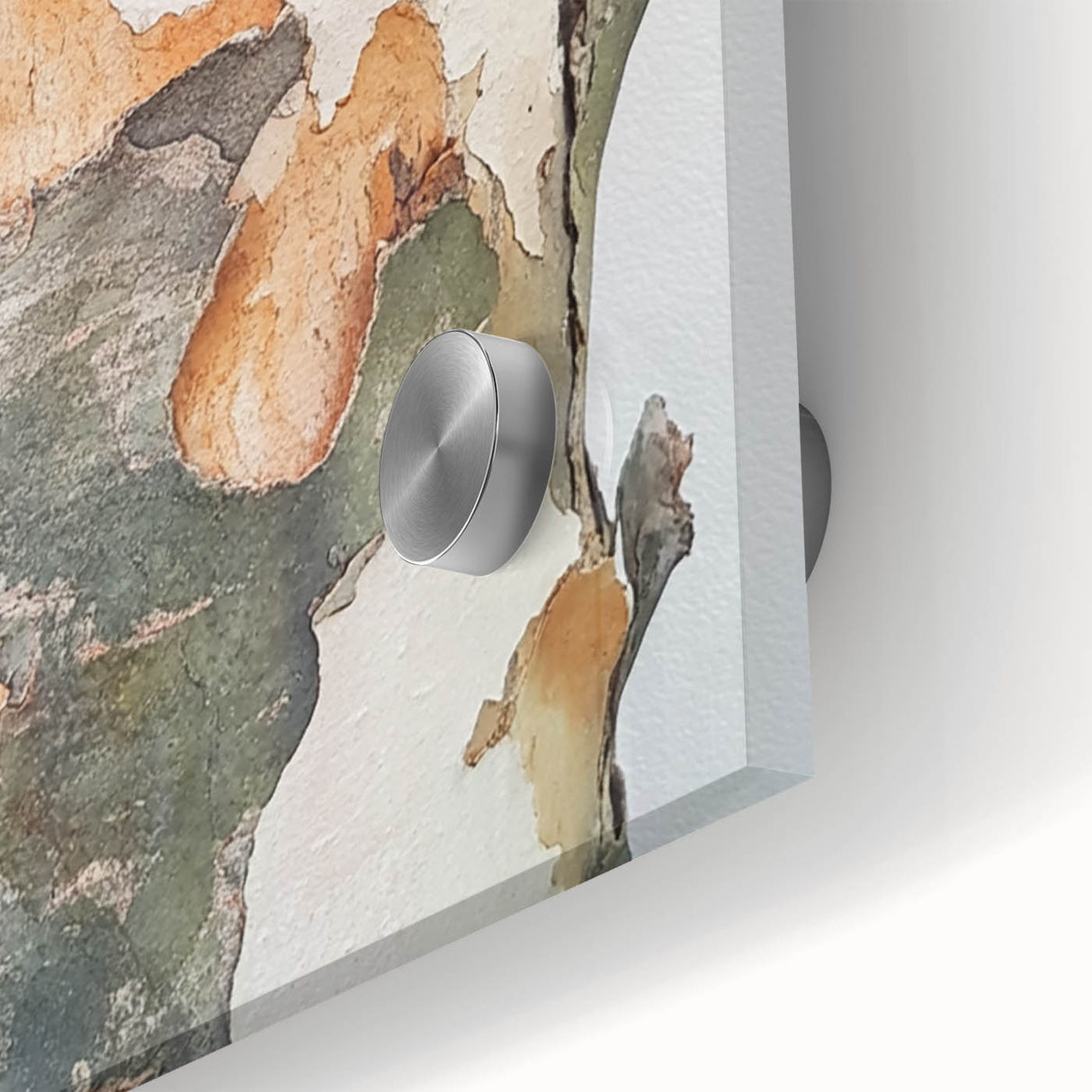 Textured Tree Bark – Abstract Nature Wall Art & Botanical Prints
