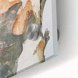 Textured Tree Bark – Abstract Nature Wall Art & Botanical Prints