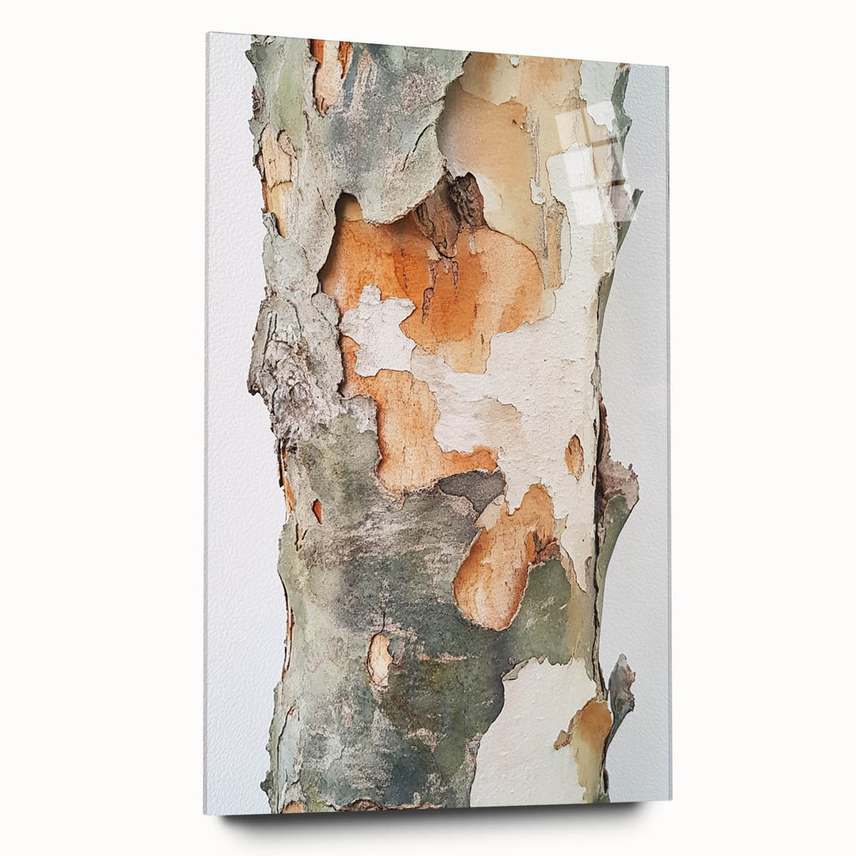 Textured Tree Bark – Abstract Nature Wall Art & Botanical Prints