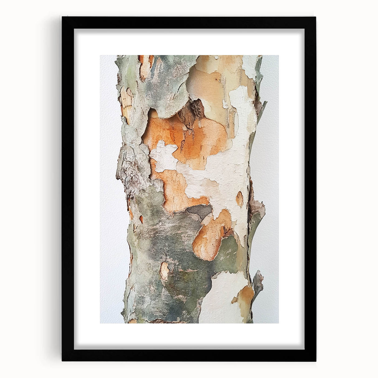 Textured Tree Bark – Abstract Nature Wall Art & Botanical Prints