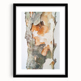 Textured Tree Bark – Abstract Nature Wall Art & Botanical Prints