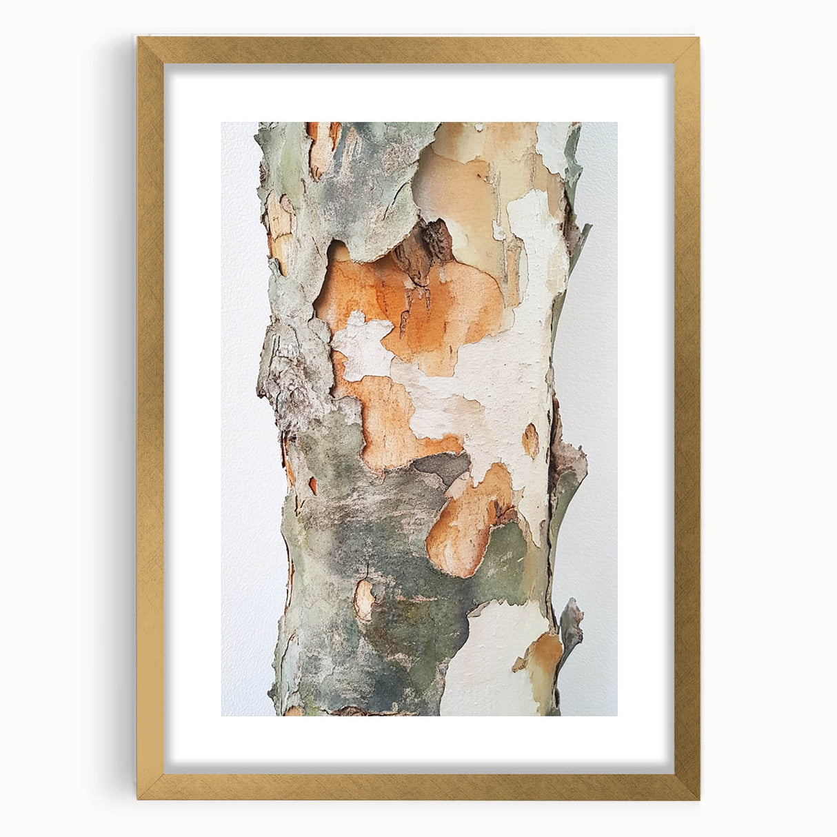 Textured Tree Bark – Abstract Nature Wall Art & Botanical Prints