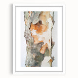 Textured Tree Bark – Abstract Nature Wall Art & Botanical Prints