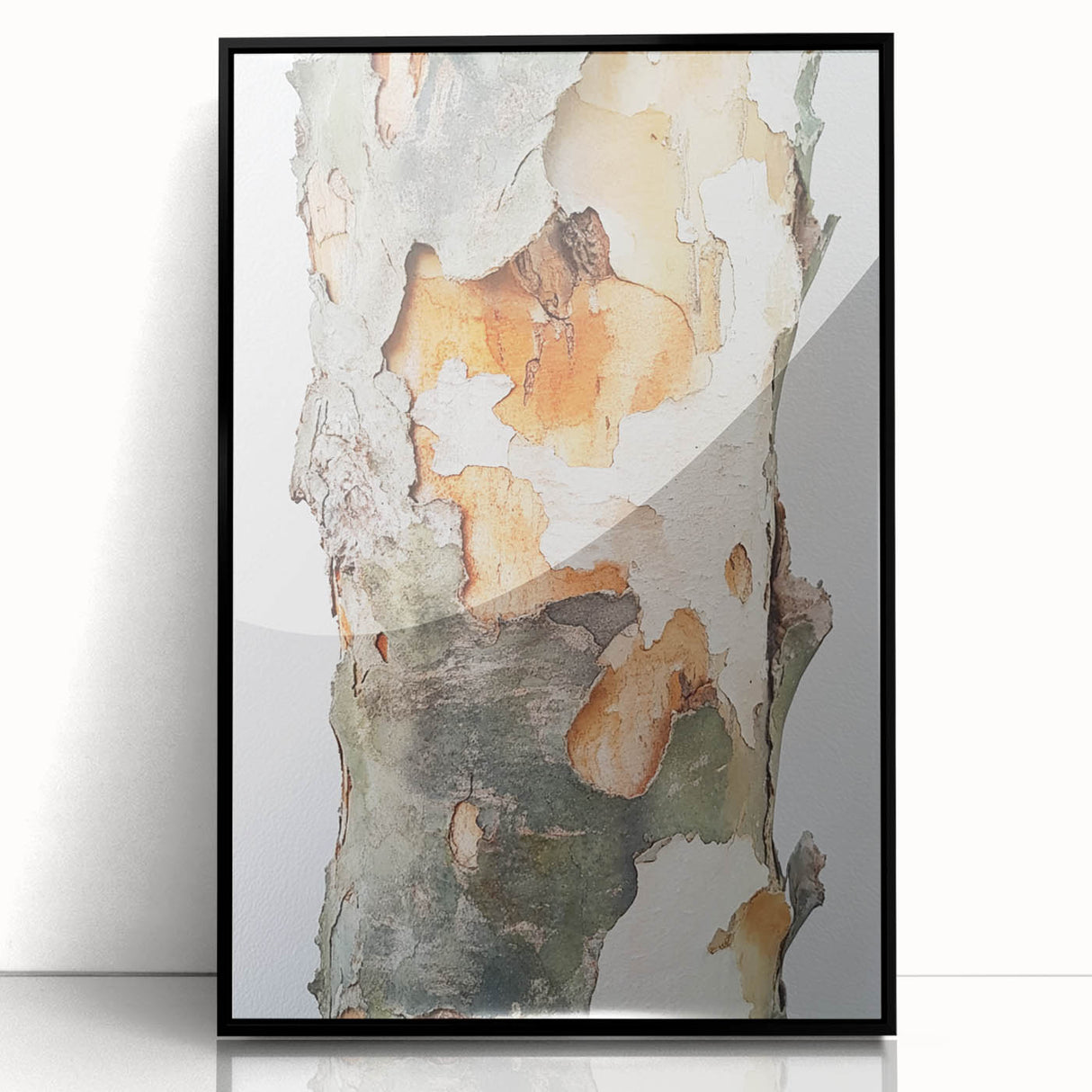 Textured Tree Bark – Abstract Nature Wall Art & Botanical Prints