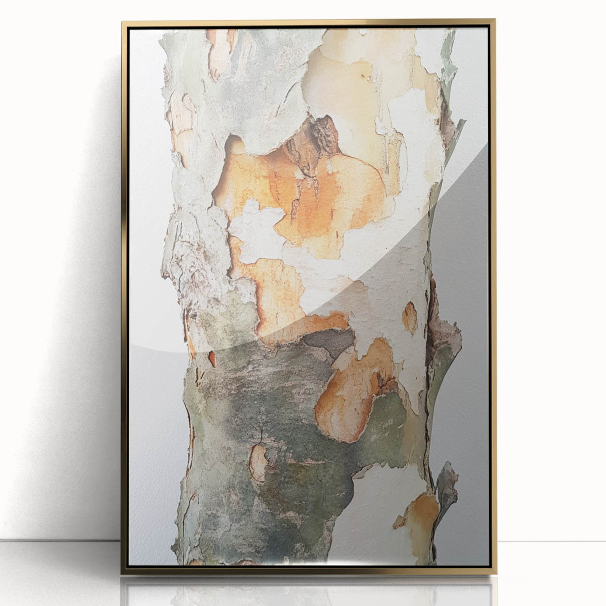 Textured Tree Bark – Abstract Nature Wall Art & Botanical Prints