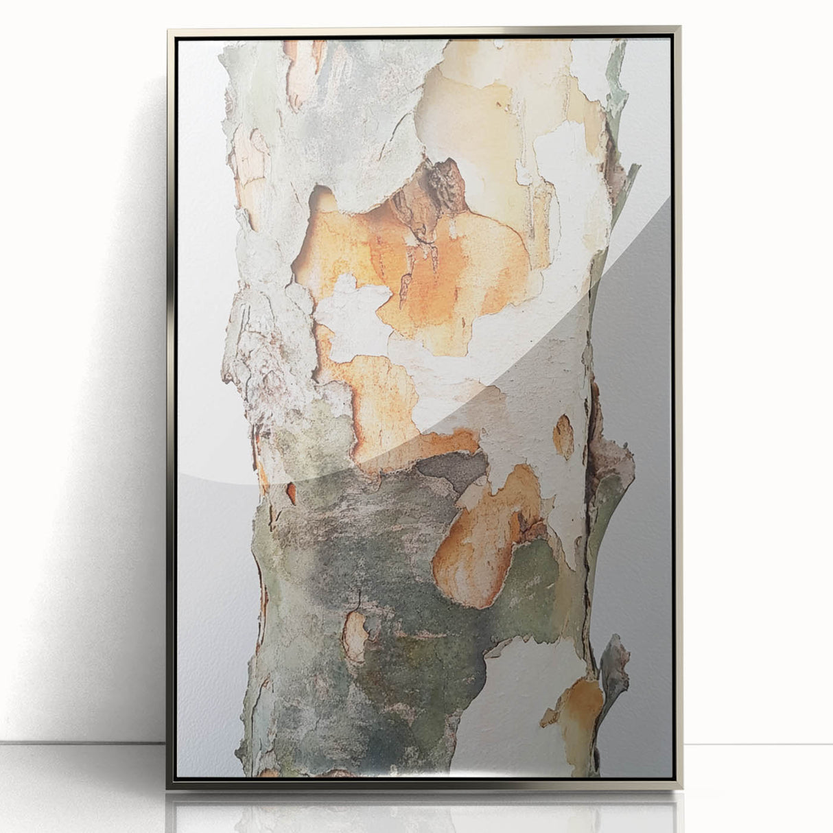 Textured Tree Bark – Abstract Nature Wall Art & Botanical Prints