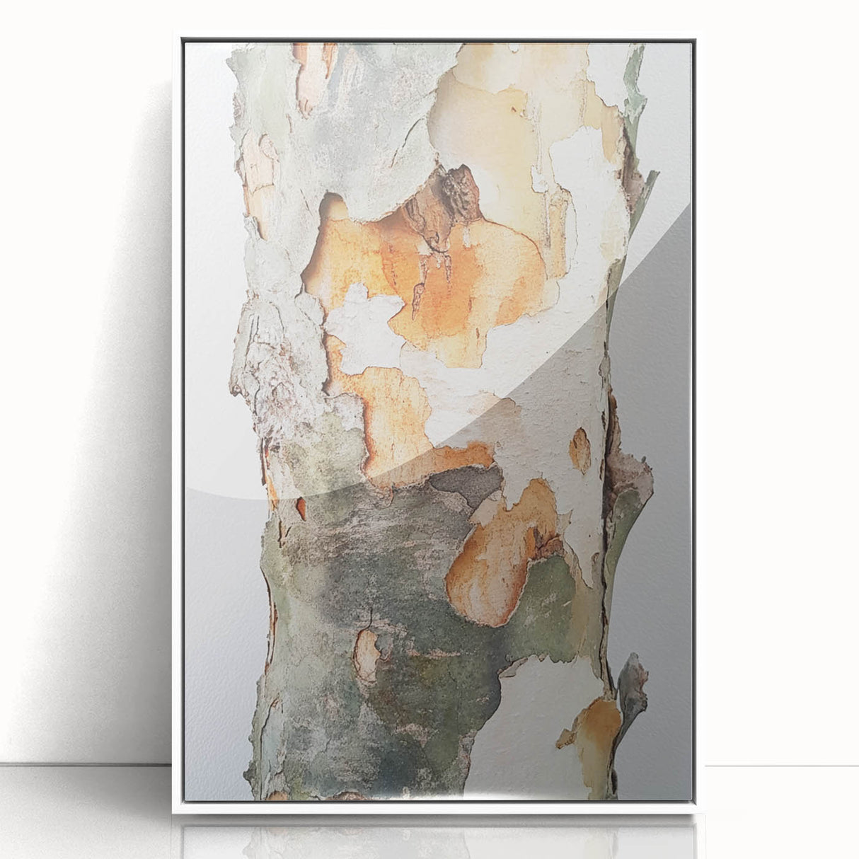 Textured Tree Bark – Abstract Nature Wall Art & Botanical Prints
