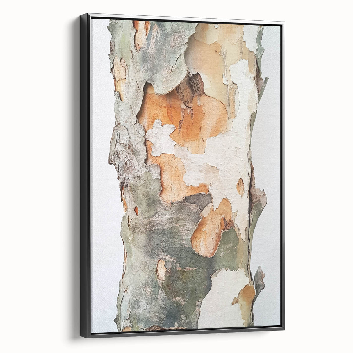 Textured Tree Bark – Abstract Nature Wall Art & Botanical Prints