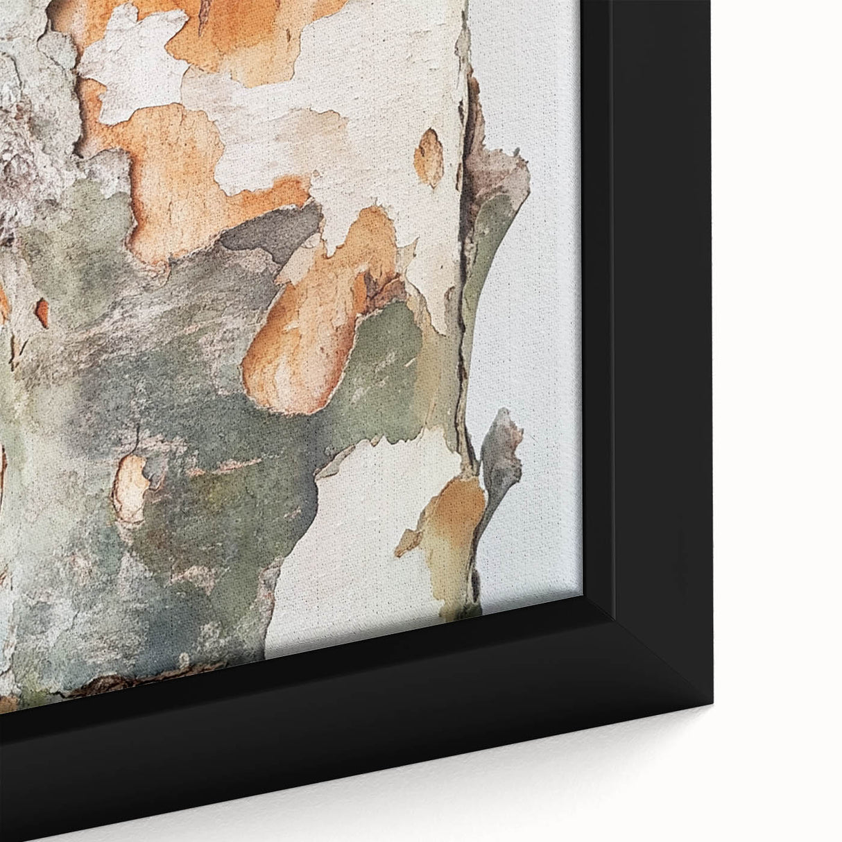 Textured Tree Bark – Abstract Nature Wall Art & Botanical Prints