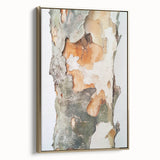 Textured Tree Bark – Abstract Nature Wall Art & Botanical Prints