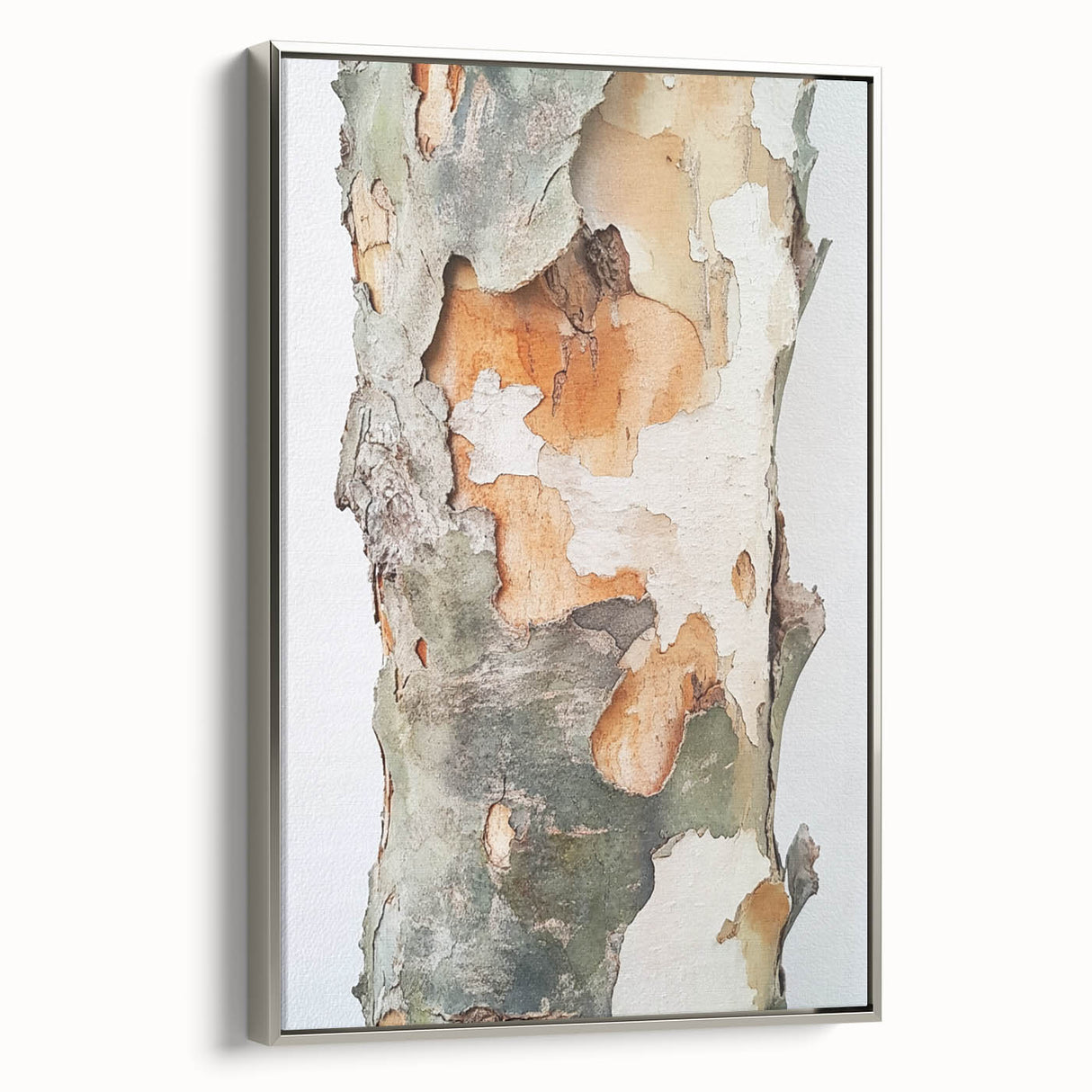 Textured Tree Bark – Abstract Nature Wall Art & Botanical Prints