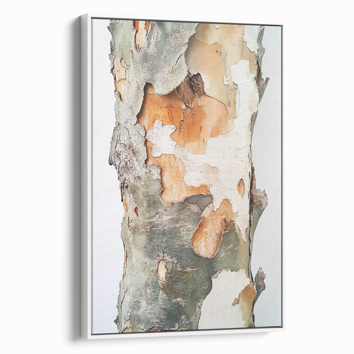 Textured Tree Bark – Abstract Nature Wall Art & Botanical Prints