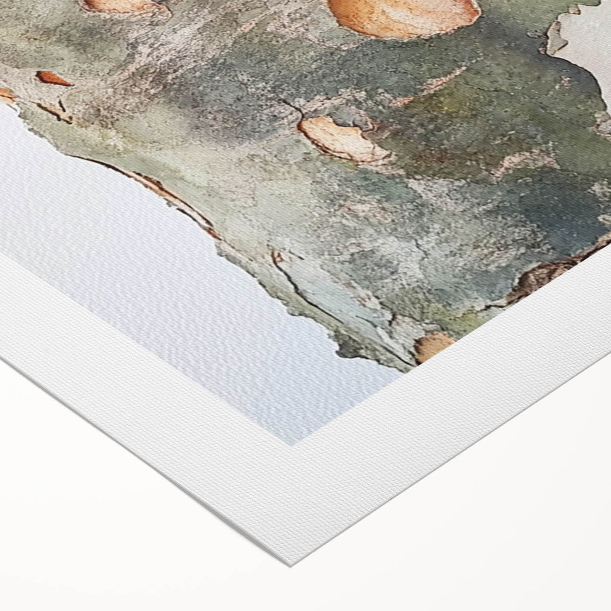 Textured Tree Bark – Abstract Nature Wall Art & Botanical Prints