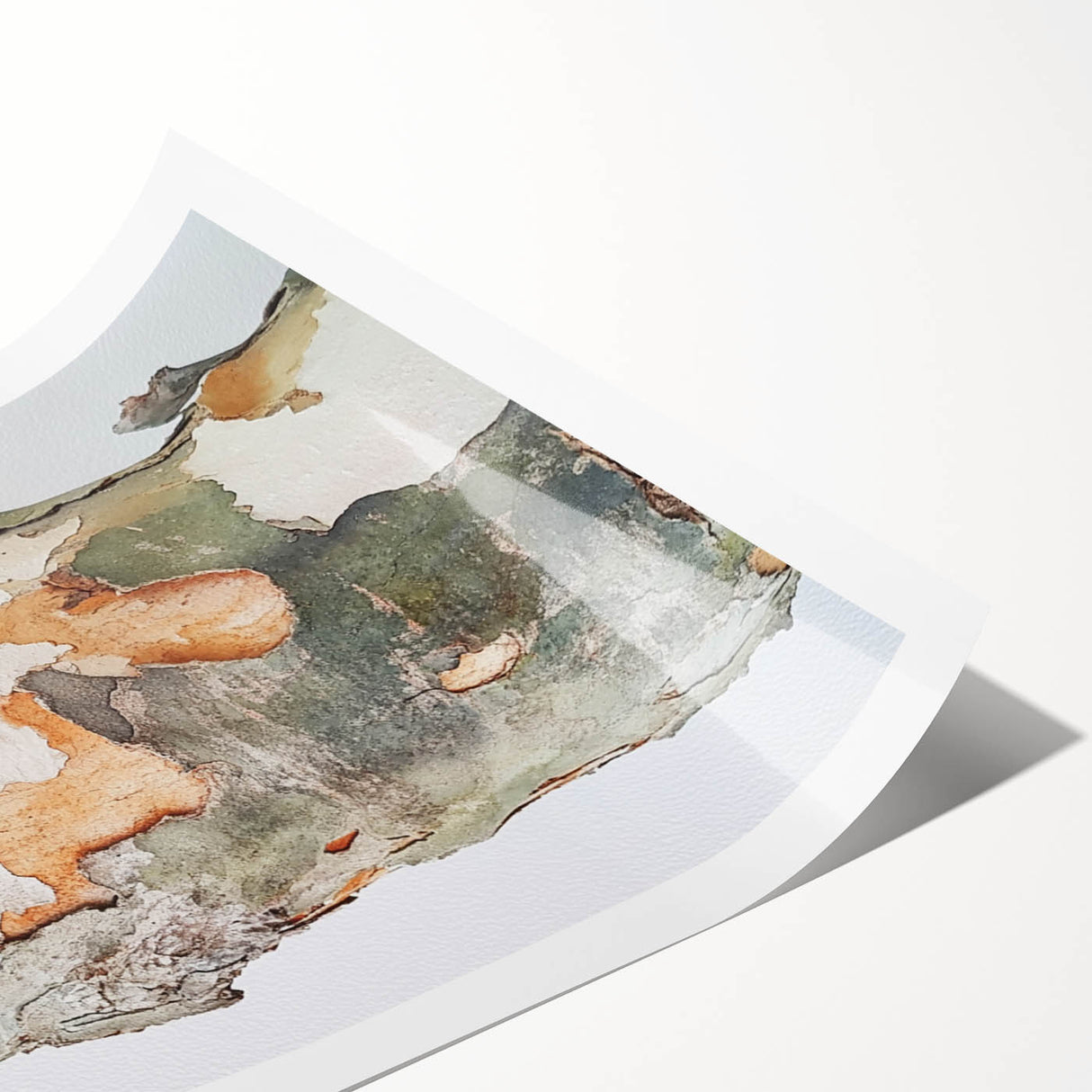 Textured Tree Bark – Abstract Nature Wall Art & Botanical Prints