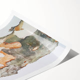 Textured Tree Bark – Abstract Nature Wall Art & Botanical Prints