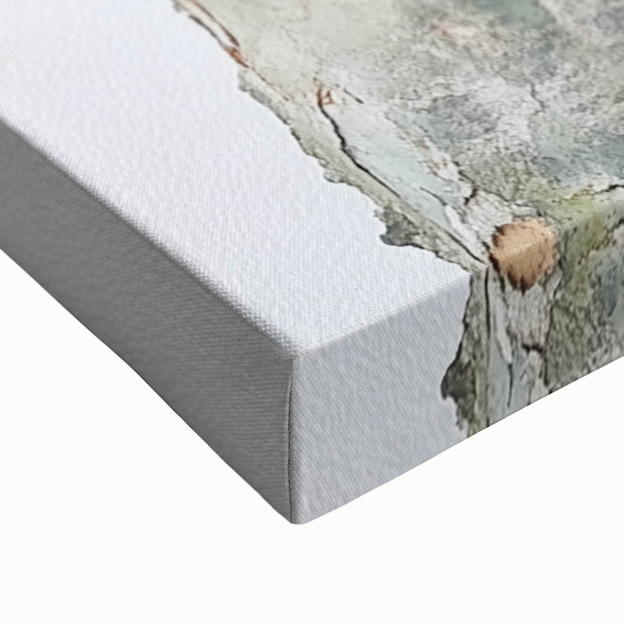 Textured Tree Bark – Abstract Nature Wall Art & Botanical Prints