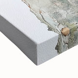 Textured Tree Bark – Abstract Nature Wall Art & Botanical Prints