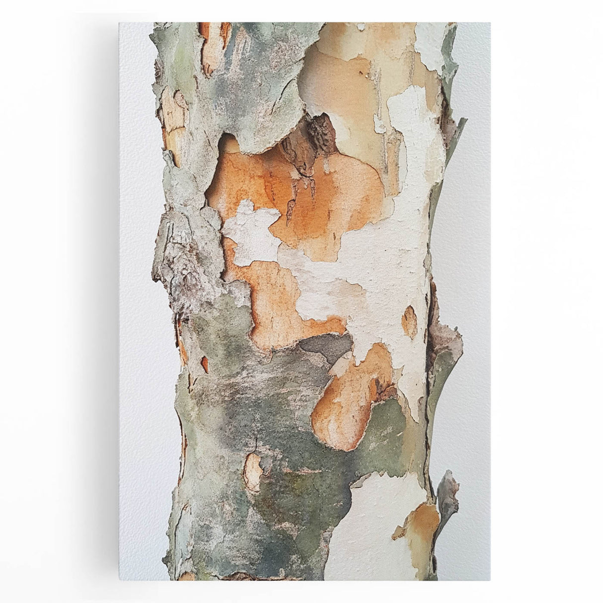 Textured Tree Bark – Abstract Nature Wall Art & Botanical Prints