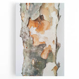 Textured Tree Bark – Abstract Nature Wall Art & Botanical Prints