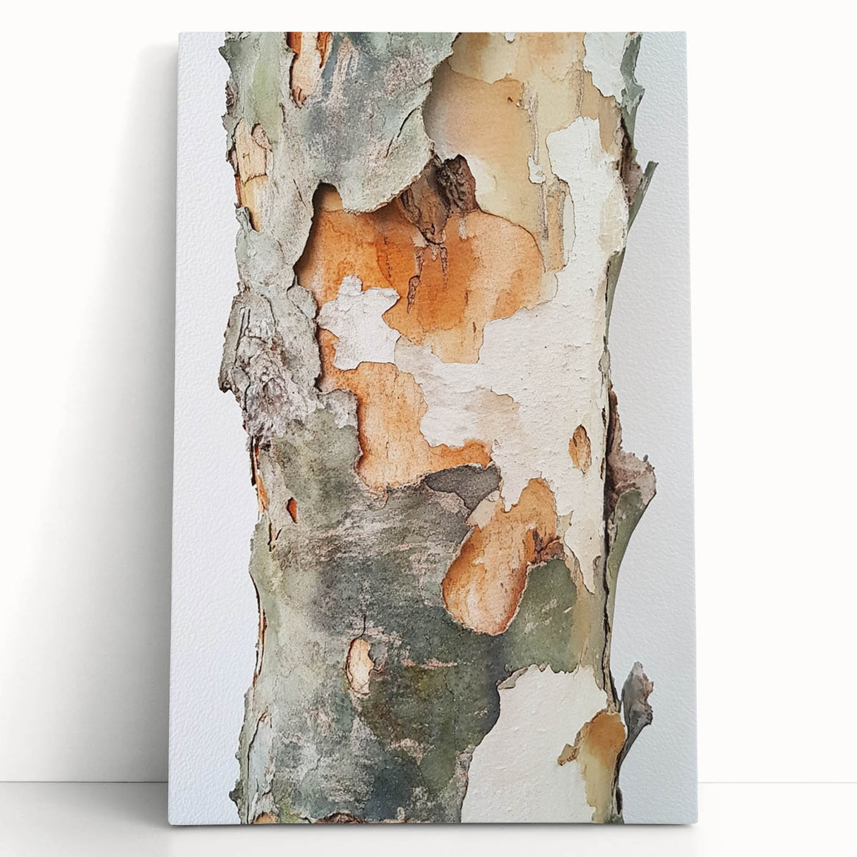 Textured Tree Bark – Abstract Nature Wall Art & Botanical Prints