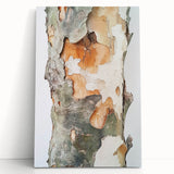 Textured Tree Bark – Abstract Nature Wall Art & Botanical Prints