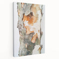 Textured Tree Bark – Abstract Nature Wall Art & Botanical Prints