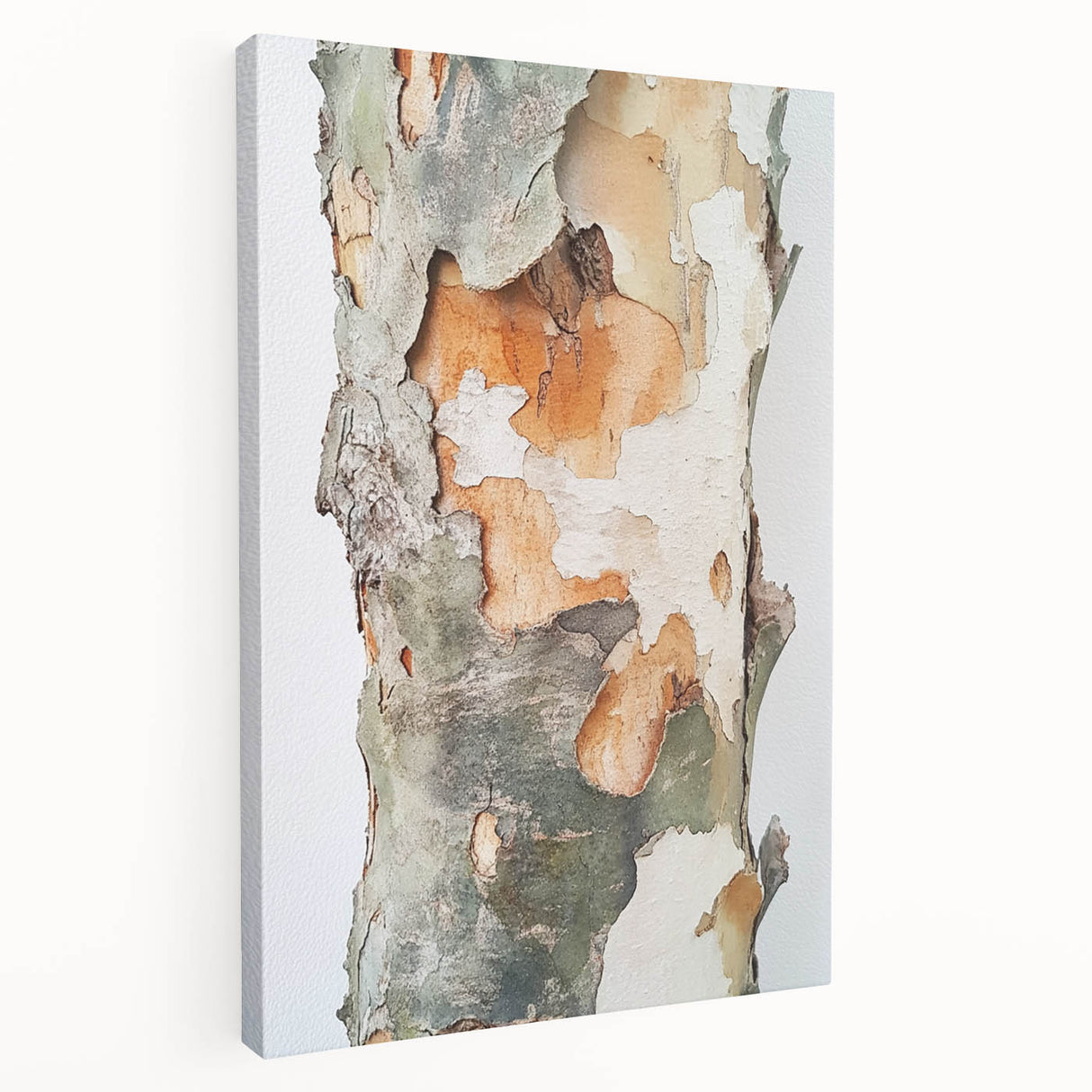 Textured Tree Bark – Abstract Nature Wall Art & Botanical Prints