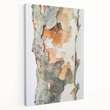 Textured Tree Bark – Abstract Nature Wall Art & Botanical Prints