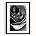Black and White Rose - Fine Art Photography Canvas Print