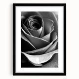Black and White Rose - Fine Art Photography Canvas Print