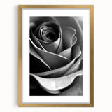 Black and White Rose - Fine Art Photography Canvas Print