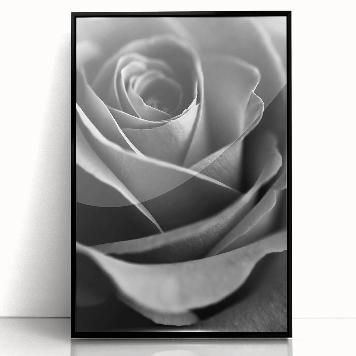 Black and White Rose - Fine Art Photography Canvas Print