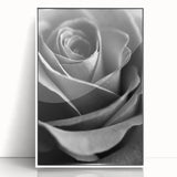 Black and White Rose - Fine Art Photography Canvas Print