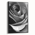 Black and White Rose - Fine Art Photography Canvas Print