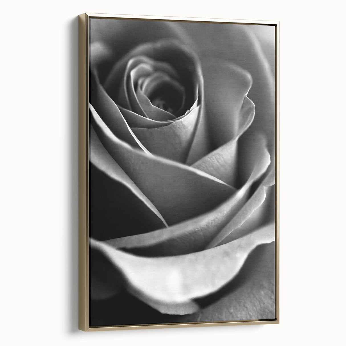 Black and White Rose - Fine Art Photography Canvas Print