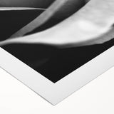 Black and White Rose - Fine Art Photography Canvas Print