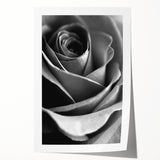 Black and White Rose - Fine Art Photography Canvas Print
