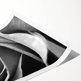 Black and White Rose - Fine Art Photography Canvas Print