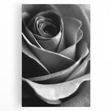 Black and White Rose - Fine Art Photography Canvas Print
