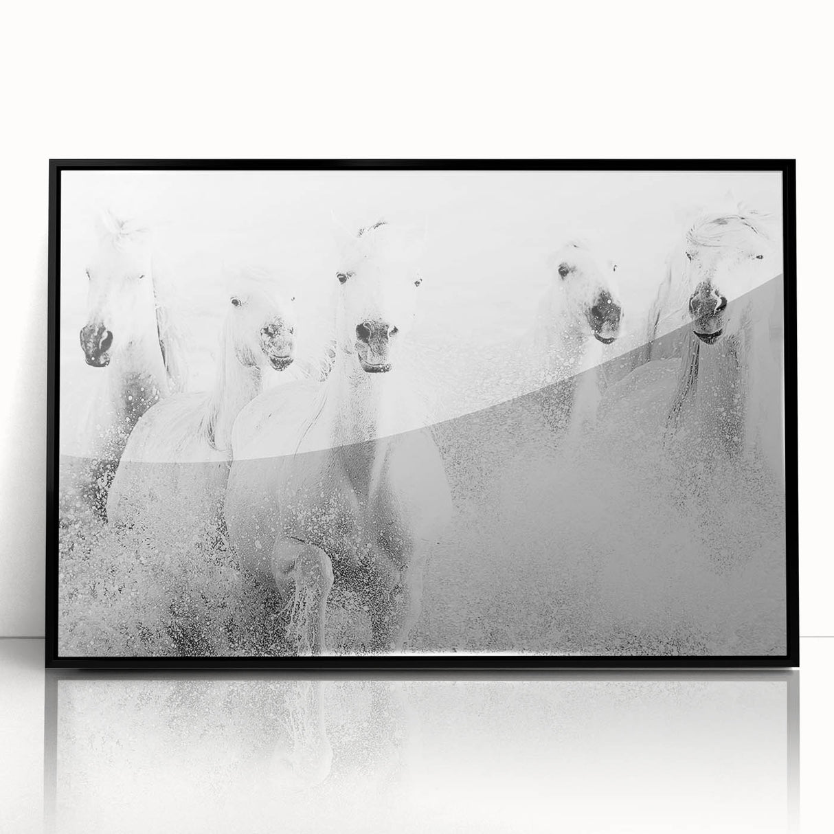 Wild Horses in Motion - Black & White Fine Art Photography