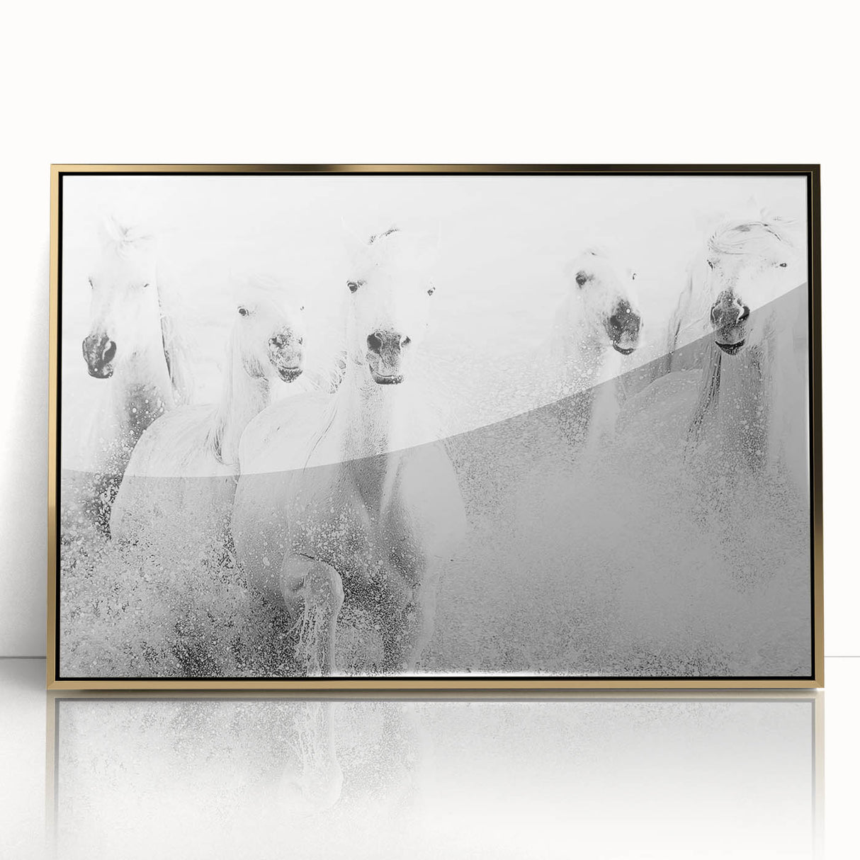 Wild Horses in Motion - Black & White Fine Art Photography