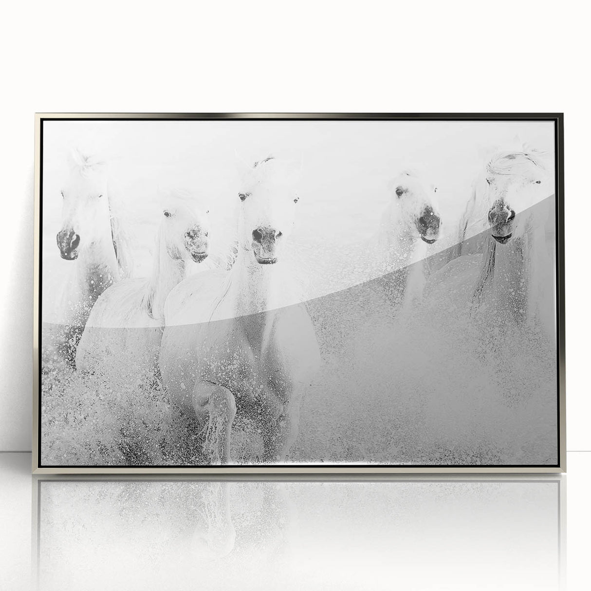 Wild Horses in Motion - Black & White Fine Art Photography